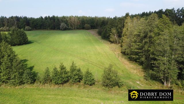 Działka budowlana Guty Rożyńskie. Zdjęcie 17