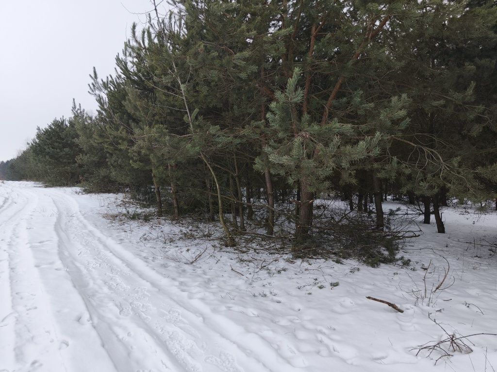 Działka budowlana Maków. Zdjęcie 4