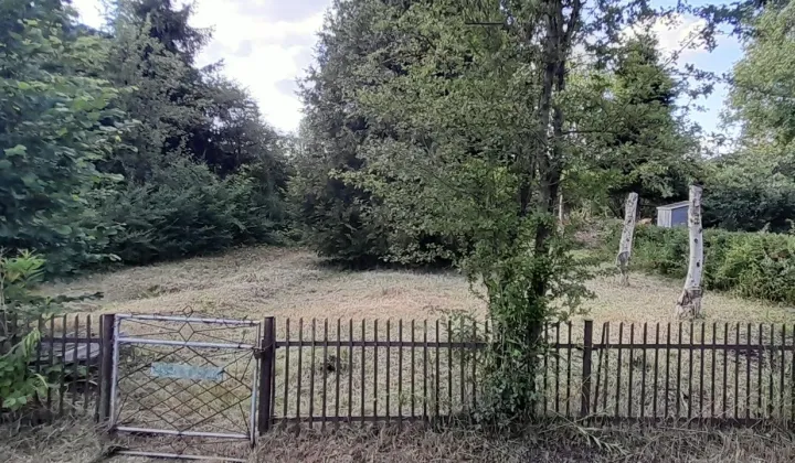 Działka rod Kielce, ul. Leśniówka