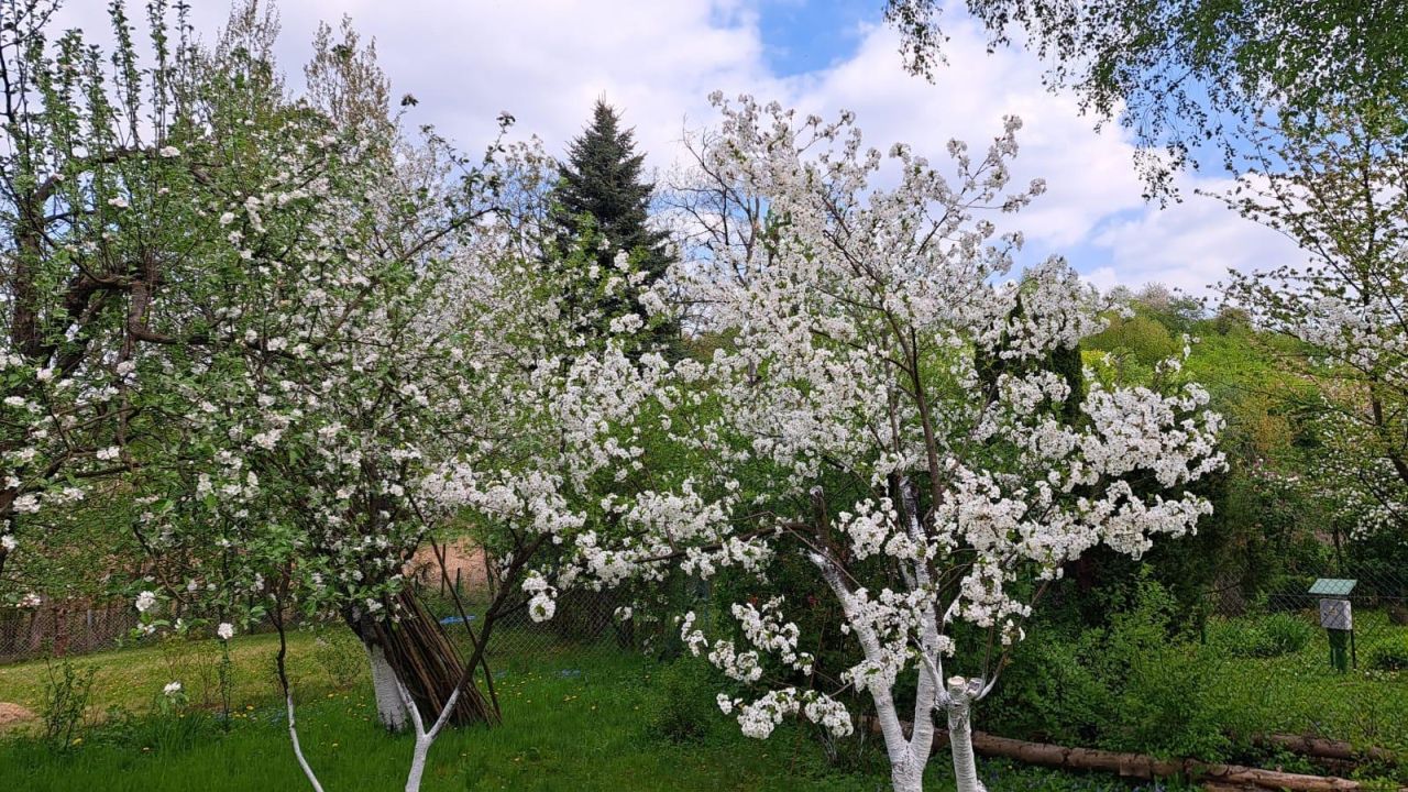 Działka rod Prusy, ul. Krajobrazowa. Zdjęcie 5