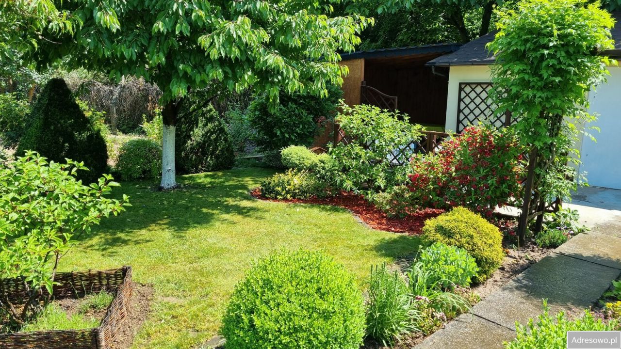 Działka rod Legnica, ul. Ogrodowa. Zdjęcie 14