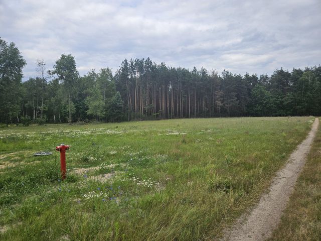 Działka rolna Wólka. Zdjęcie 1