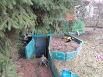 Działka rod Gryfino. Zdjęcie 1