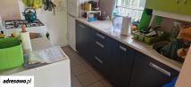 Działka rekreacyjna Łódź Widzew, ul. Przylesie. Zdjęcie 4