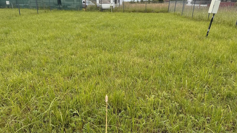 Działka rolna Rusinowo. Zdjęcie 6