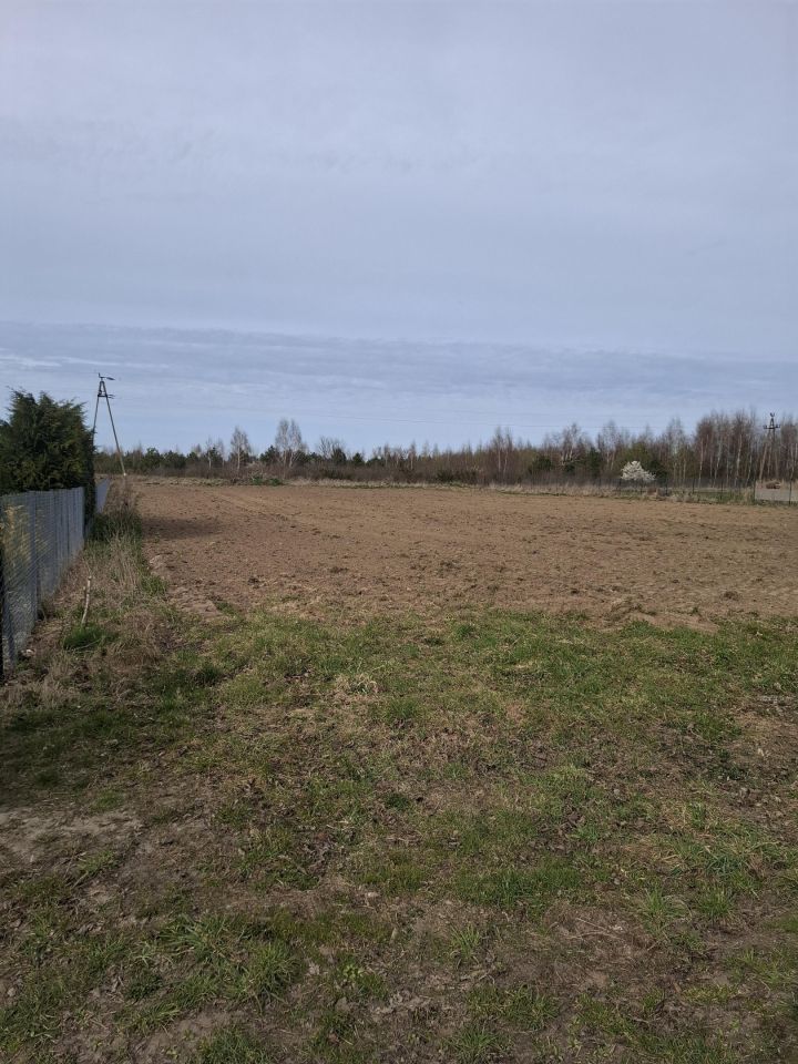 Działka rolno-budowlana Toliszczek. Zdjęcie 5