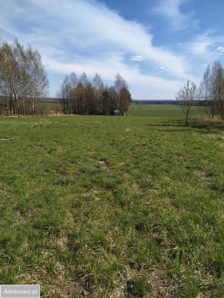 Działka budowlana Myszków Mrzygłódka, ul. Kwarcowa. Zdjęcie 5