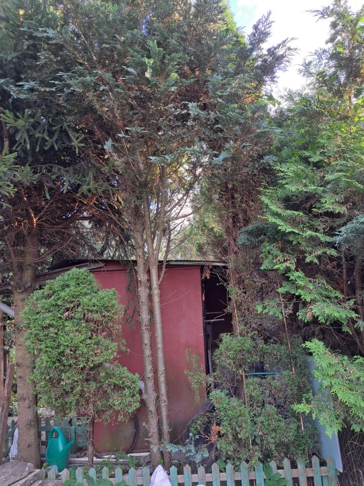 Działka rod Toruń Wrzosy, ul. Słowicza. Zdjęcie 9