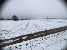 Działka rolna Świerże Górne. Zdjęcie 1