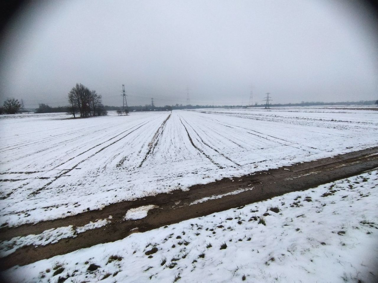 Działka rolna Świerże Górne. Zdjęcie 2