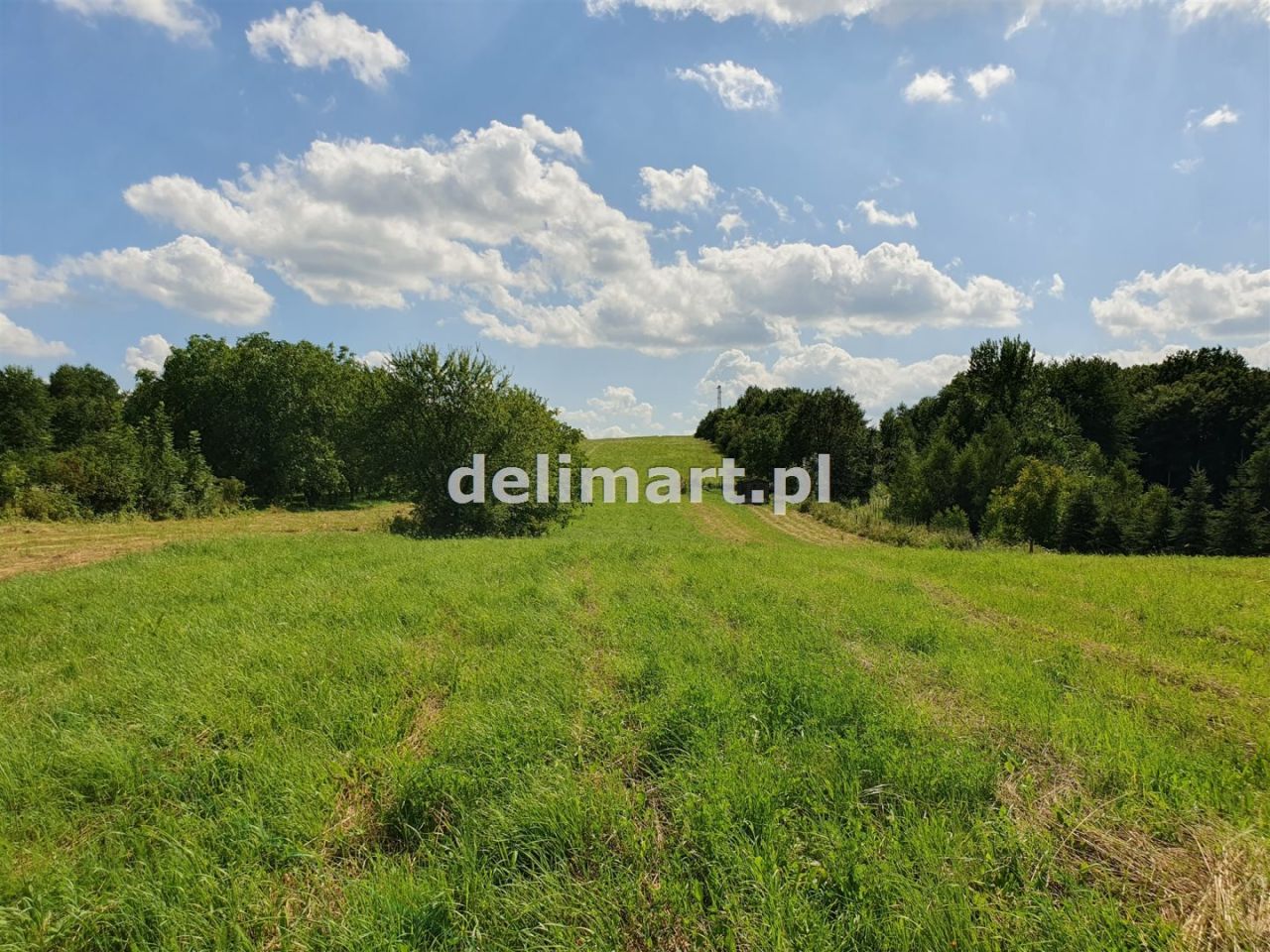 Działka rolna Sanok, ul. Sucha