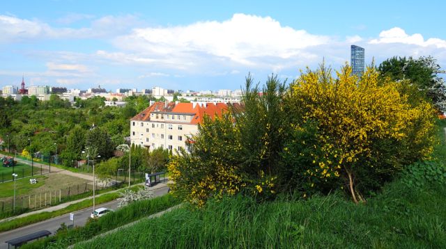Mieszkanie 3-pokojowe Wrocław, ul. Krucza. Zdjęcie 3