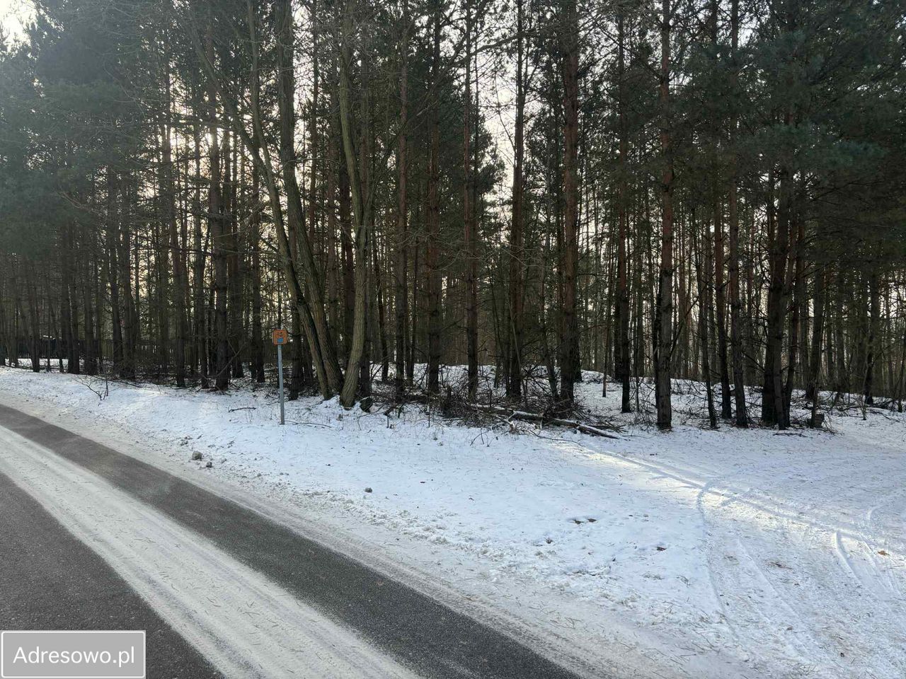 Działka leśna Kuźnica Żerechowska. Zdjęcie 6