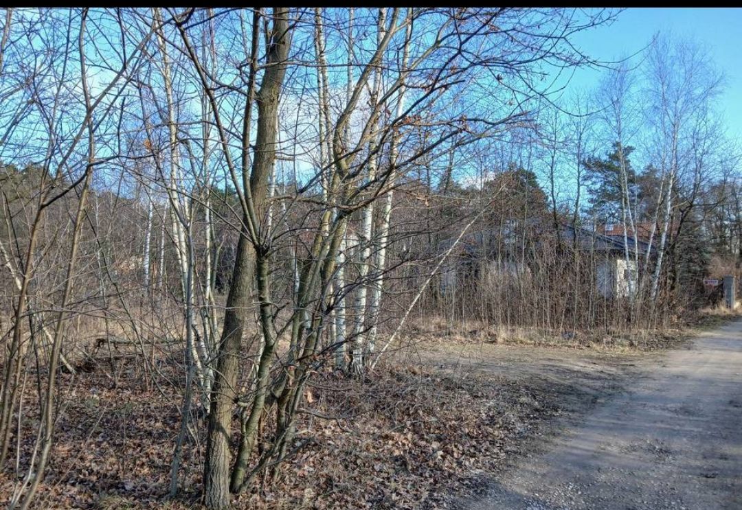 Działka budowlana Piotrków Trybunalski Szczekanica, ul. mjr. Jana Piwnika. Zdjęcie 2