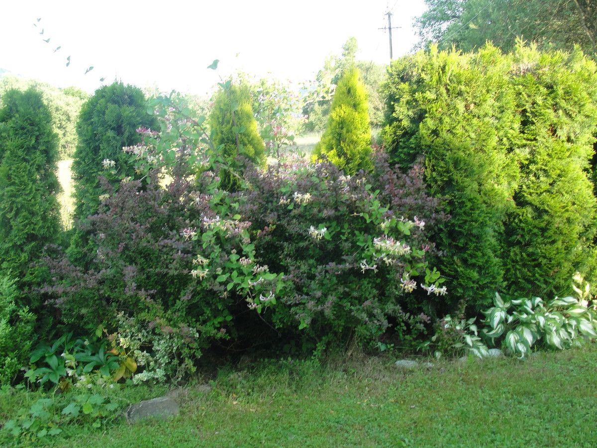 Działka budowlana Klimkówka. Zdjęcie 19