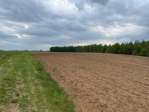 Działka rolna Puszcza Miejska. Zdjęcie 3