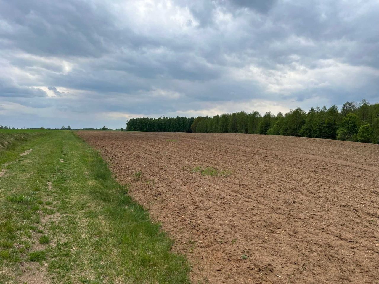 Działka rolna Puszcza Miejska. Zdjęcie 4