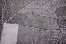 Działka rolno-budowlana Krzeszów. Zdjęcie 1