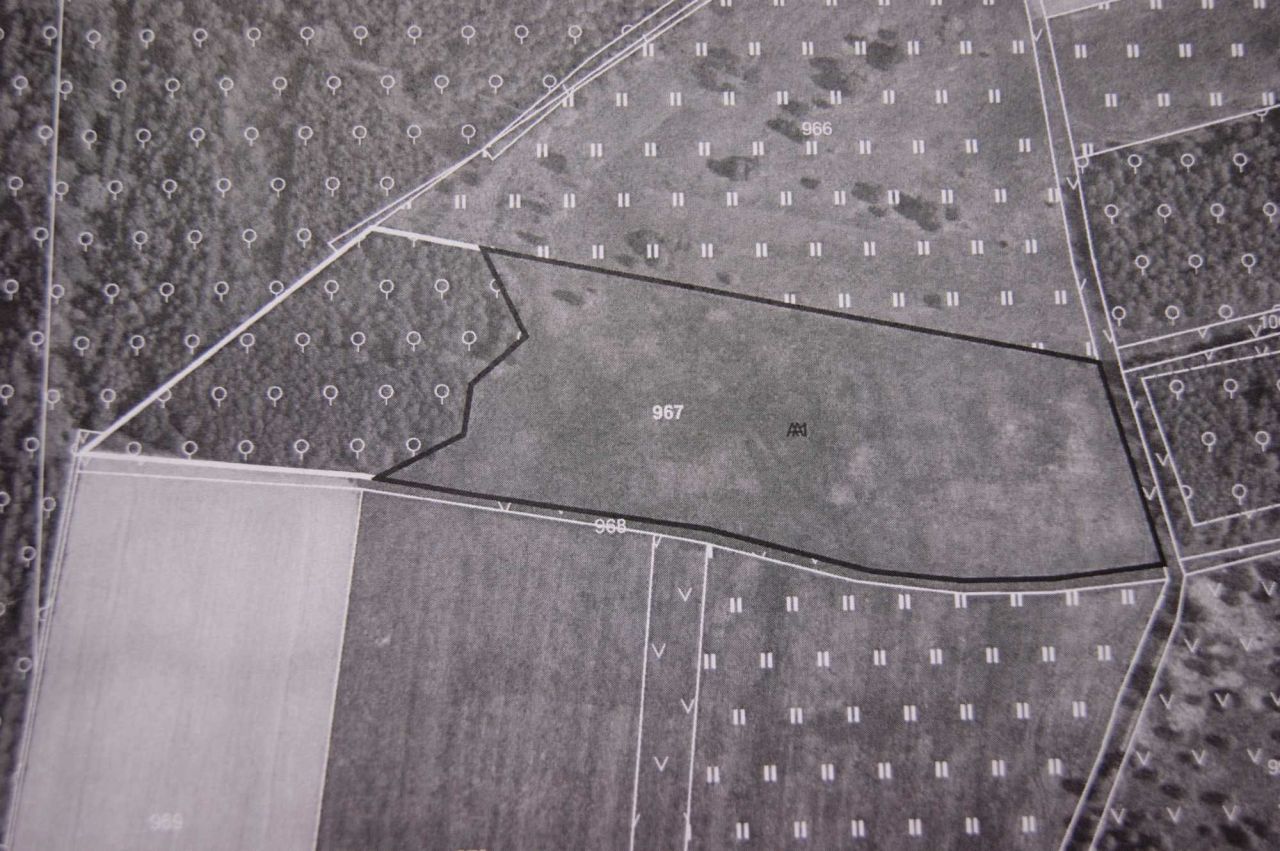 Działka rolno-budowlana Krzeszów. Zdjęcie 2