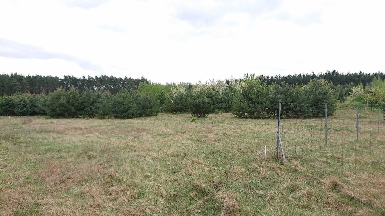 Działka budowlana Trzęsów. Zdjęcie 2