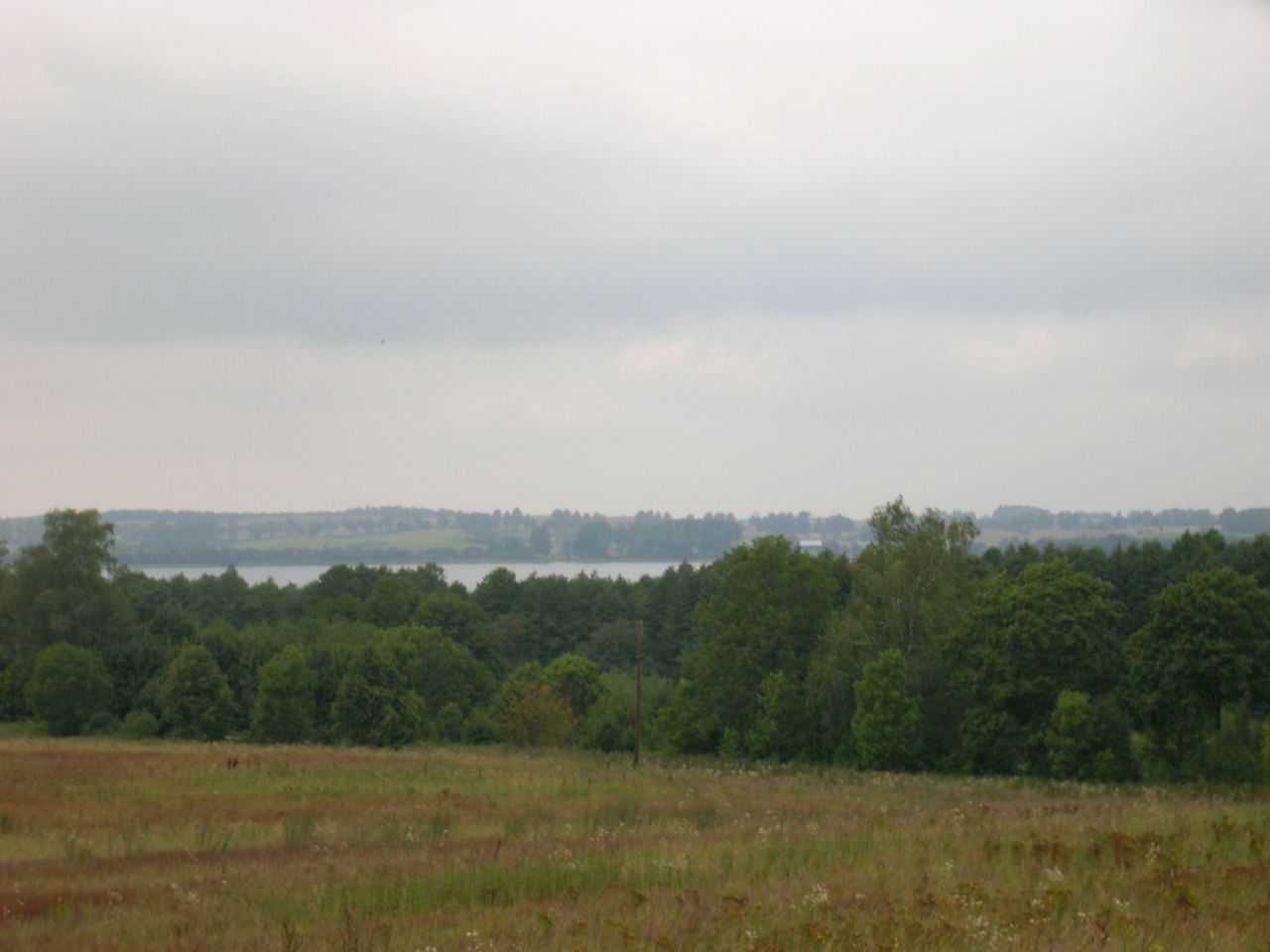 Działka siedliskowa Kikity. Zdjęcie 5