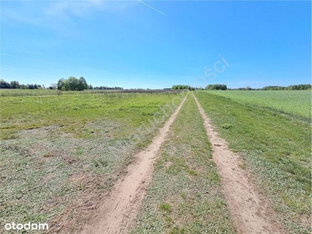 Działka budowlana Leontyna, ul. Strażacka. Zdjęcie 1