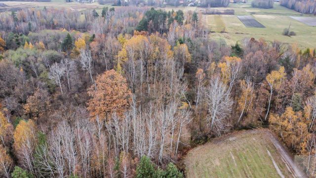 Działka Majdan Sieniawski. Zdjęcie 6