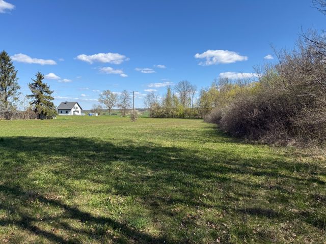 Działka budowlana Ruchenka, ul. Lipowa. Zdjęcie 2