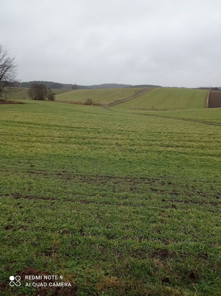 Działka rolno-budowlana Grabowo. Zdjęcie 2