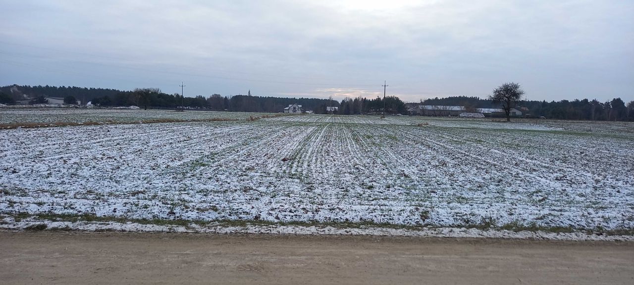 Działka rolna Nowe Załubice, ul. Bratnia. Zdjęcie 5