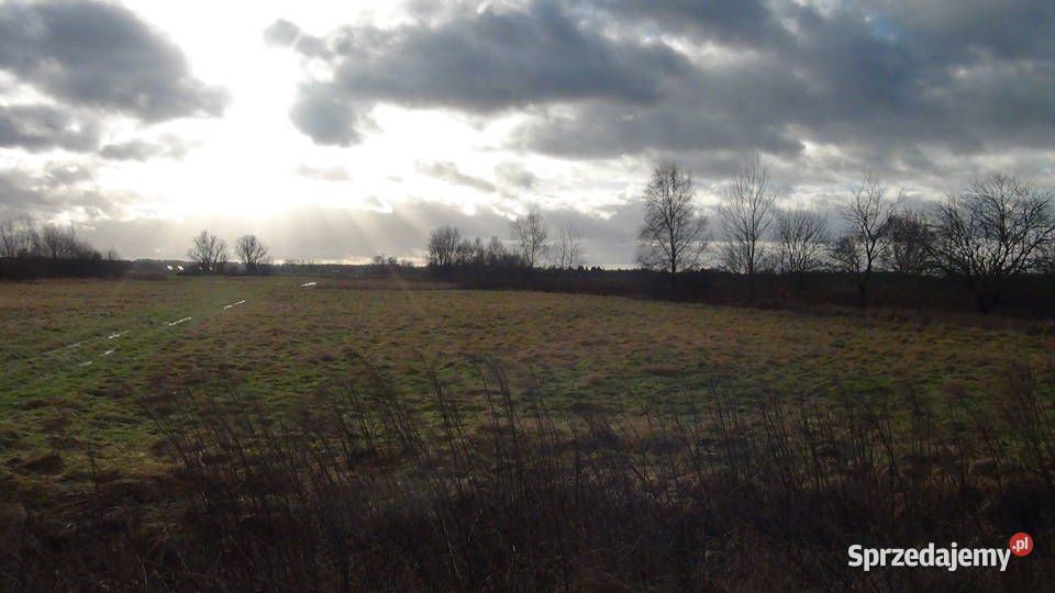 Działka inwestycyjna Goleniów, ul. Nowogardzka. Zdjęcie 5