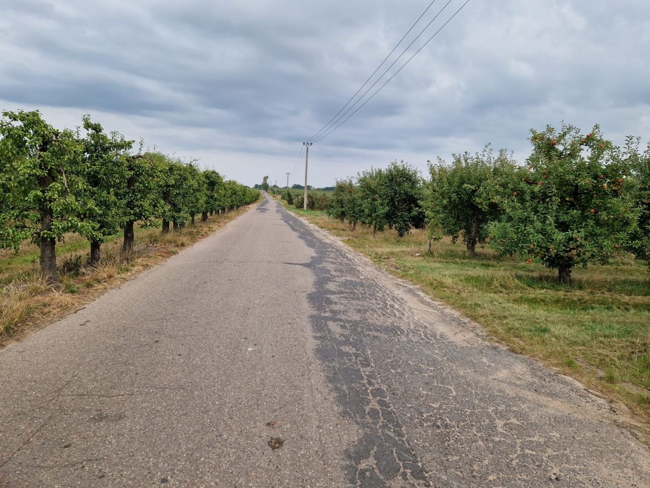 Działka rolna Pęcław. Zdjęcie 5