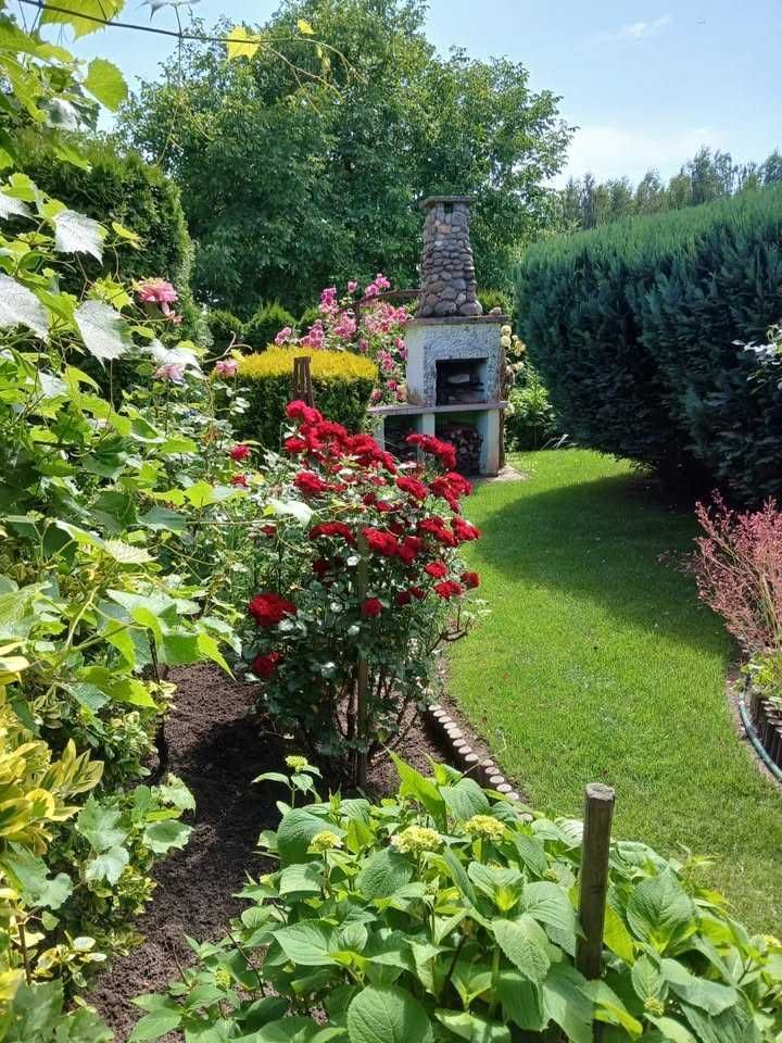 Działka rod Lubin. Zdjęcie 2