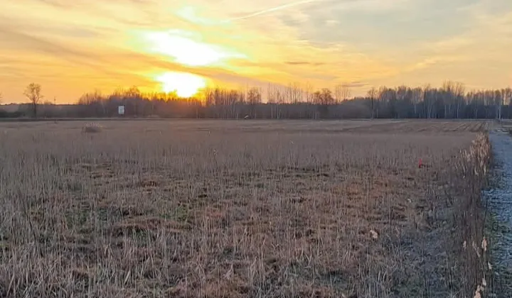 Działka budowlana Zwierki