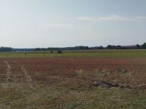 Działka budowlana Ksawerów Stary. Zdjęcie 3