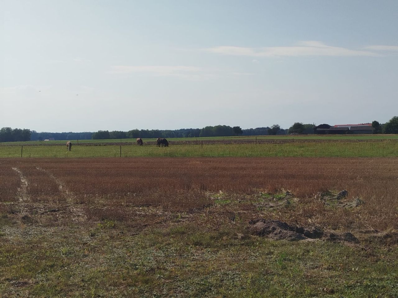 Działka budowlana Ksawerów Stary. Zdjęcie 4