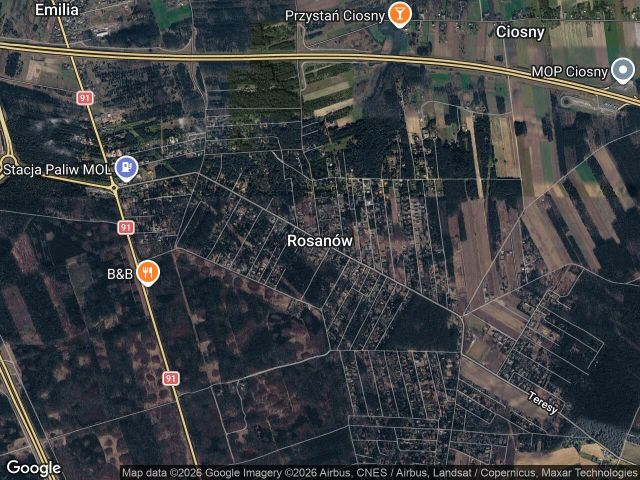 Działka leśna Rosanów. Zdjęcie 1