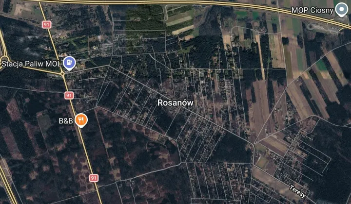 Działka leśna Rosanów