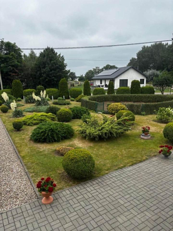 dom wolnostojący, 3 pokoje Wiktorowo. Zdjęcie 4