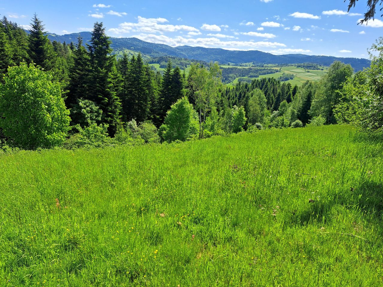 Działka rekreacyjna Rdzawka. Zdjęcie 7