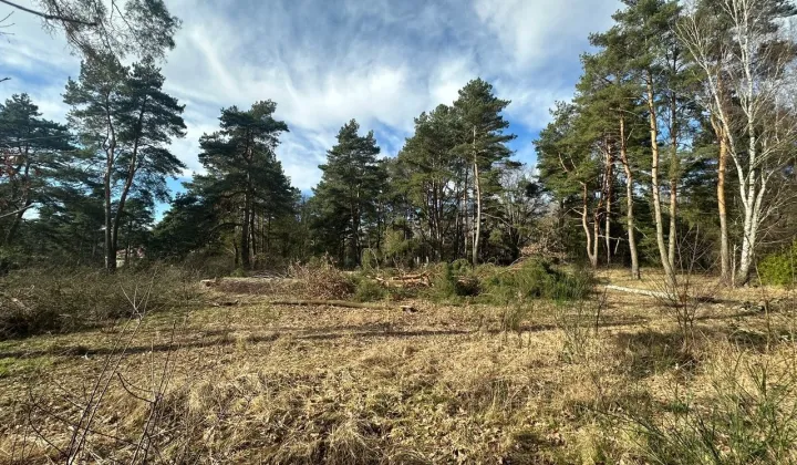 Działka budowlana Bezrzecze, ul. Willowa