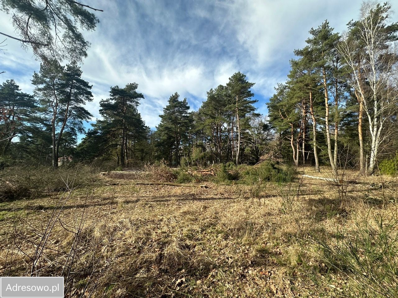 Działka budowlana Bezrzecze, ul. Willowa