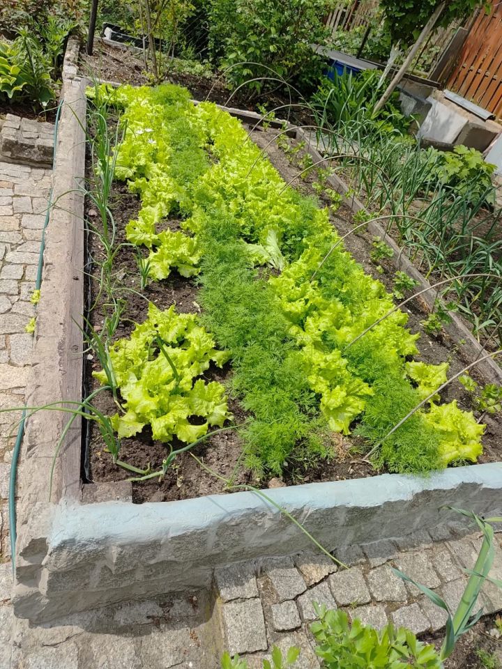 Działka rod Zielona Góra, ul. Francuska. Zdjęcie 5