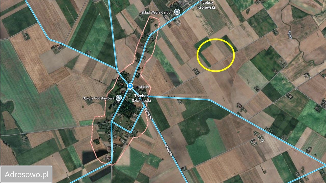 Działka rolna Trzebcz Królewski. Zdjęcie 3