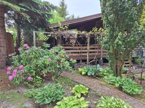 Działka rod Białystok, ul. Adama Mickiewicza. Zdjęcie 1