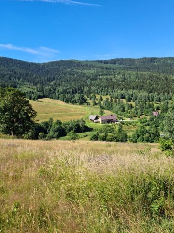 Działka budowlana Nowy Gierałtów. Zdjęcie 4