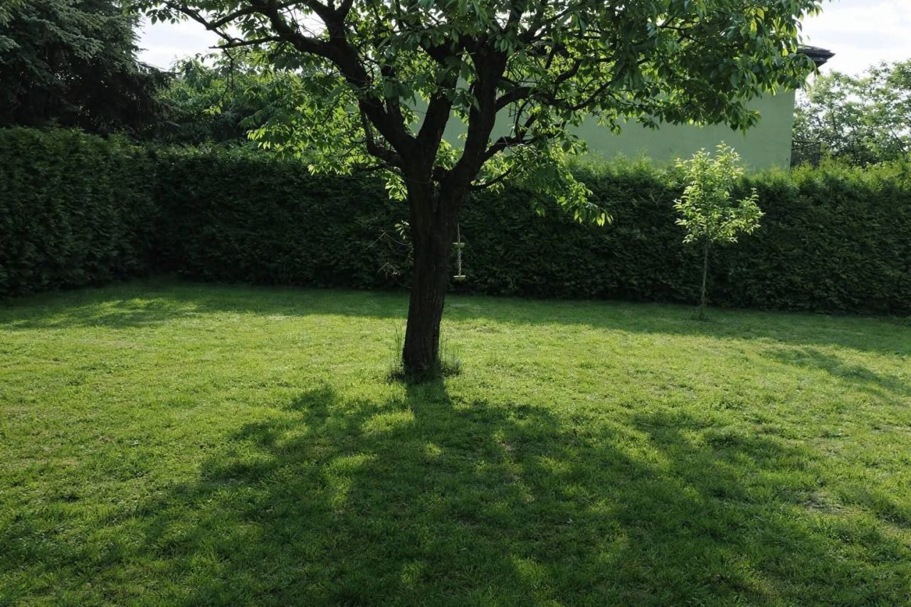 dom wolnostojący, 6 pokoi Gostynin, ul. Mikołaja Reja. Zdjęcie 3