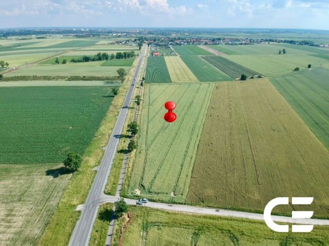 Działka inwestycyjna Nowosiedlice. Zdjęcie 13