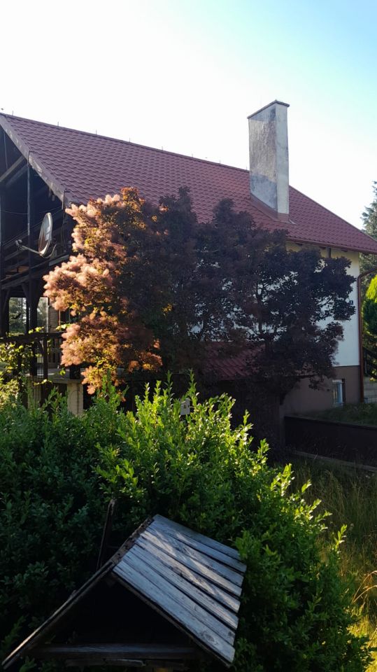 dom wolnostojący, 3 pokoje Męcikał, ul. Chojnicka. Zdjęcie 6