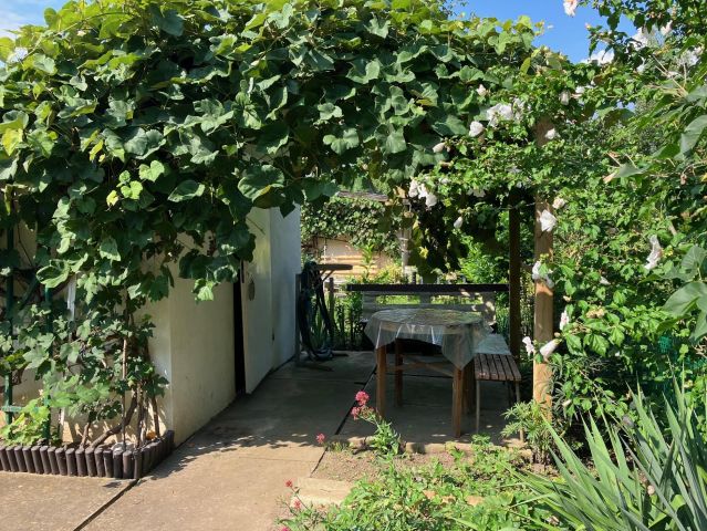 Działka rekreacyjna Legnica Centrum, ul. Masarska. Zdjęcie 1